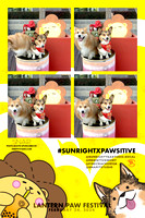 Lantern Paw Festival: Photo Booth 2/24/24